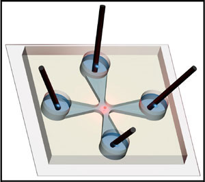 Illustration of the microfluidic channel intersection, showing the four fluid reservoirs, each with an electrode in place