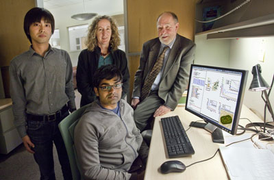 Mohan Sarovar (seated) and (from left) Akihito Ishizaki, Birgitta Whaley and Graham Fleming carried out the first observation and characterization of quantum entanglement in a real biological system