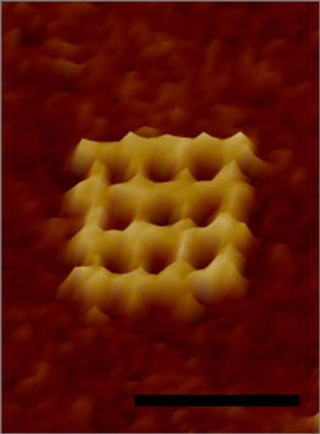 This is a closeup of a waffle
