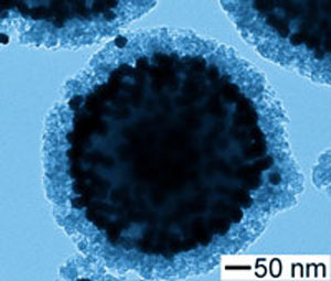 TEM image showing the evolution of Au nanoshells after 12 cycles of seeded growth