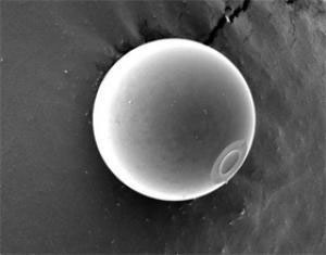 A glassified bead of lysozyme, formed by gently extracting water from a droplet of protein