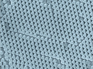 Metal nanostructures can be fabricated easily by evaporating metal onto a closely packed array of nanospheres