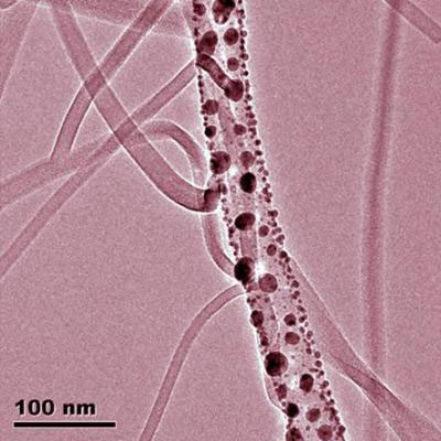 cobalt phthalocyanine nanowires grow out of an iron phthalocyanine nanowire