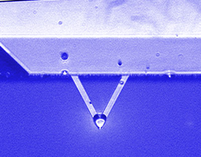 an oil droplet attached to the end of an AFM cantilever. Around 1500 of these droplets would fit on the head of a pin