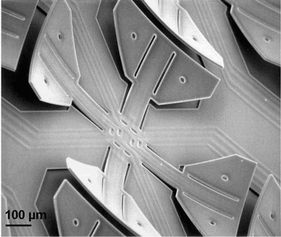 Tiny, four-sided cilia, pulsating structures that mimic the hairs that line the human windpipe, are arranged in rows along the underside of the robot
