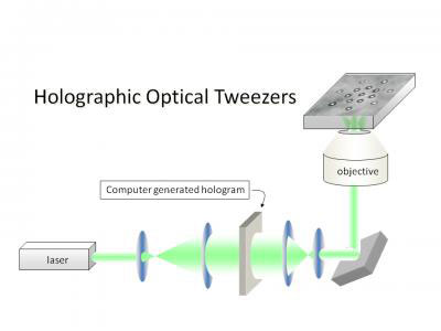 holographic laser tweezers