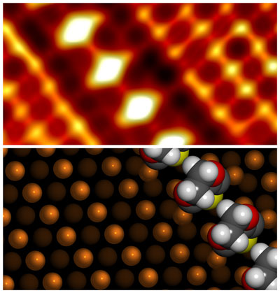 A high-resolution scanning tunneling microscope image (top) and density functional theory-calculated structures (bottom) reveal the formation of a well-organized PEDOT polymer