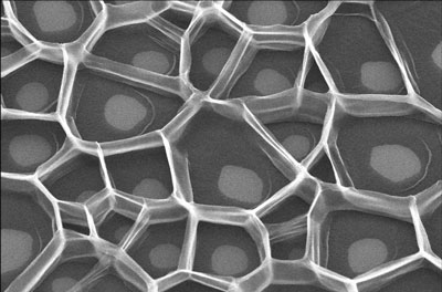 Combs of nanotubes