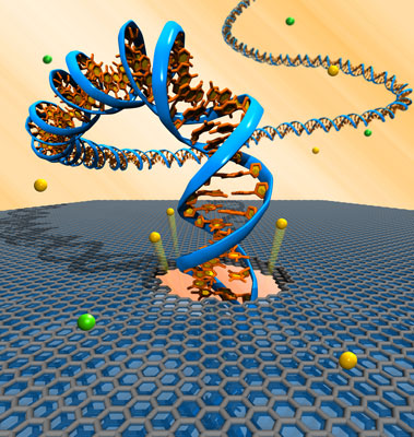 carbon-based, nanoscale platform to electrically detect single DNA molecules