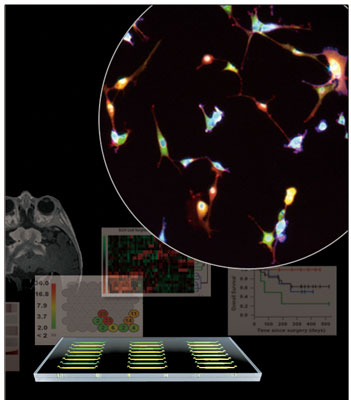 Microfluidic imaging cytometry (MIC) platform
