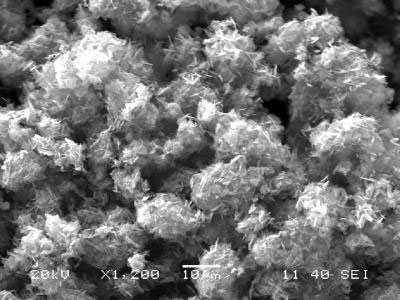tiny flakes of lithium manganese phosphate can serve as electrodes for batteries