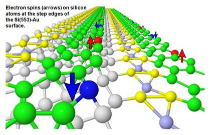Electron spins (arrows) on silicon atoms at the step edges of the Si(553)-Au surface