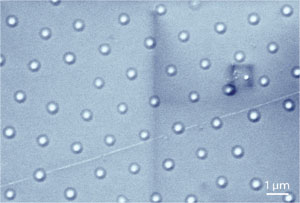 Scanning electron microscope image of the fabricated silicon nanobump arrays