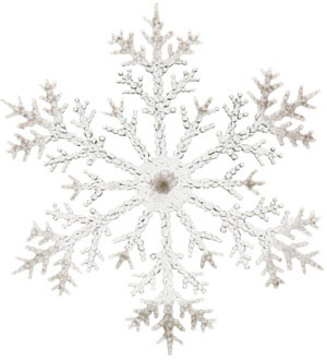 A snowflake is the result of self-organized pattern formation over the course of a phase transition from water to ice