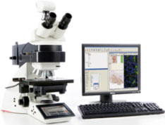 A perfect pathology workstation for the assessment of clinical brightfield and fluorescent biomarkers