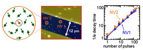 Spins of nitrogen-vacancy centers in diamond interact with a bath of environmental spins