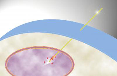 Nanoneedle Delivers Quantum Dots to Nucleus