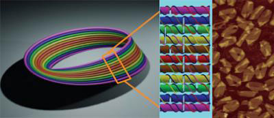 design for the DNA Möbius strip