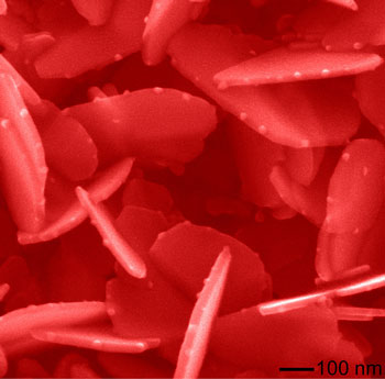 silver nanoplates are decorated with silver oxy salt nanoparticles along the edges