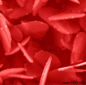 This image shows nanoparticles growing