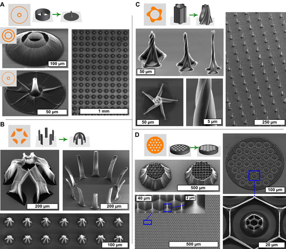 By using unique two-dimensional templates, researchers at the University of Michigan could coax carbon nanotubes to grow in intricate, curving three-dimensional structures