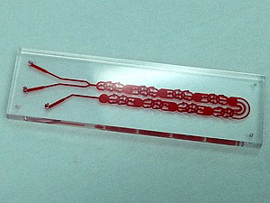 Photograph of a microfluidic device for mixing fluids with large viscosity contrast