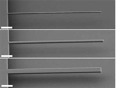 Scanning electron micrographs of silicon cantilevers 8 microns long and 75, 300 and 800 nanometers wide