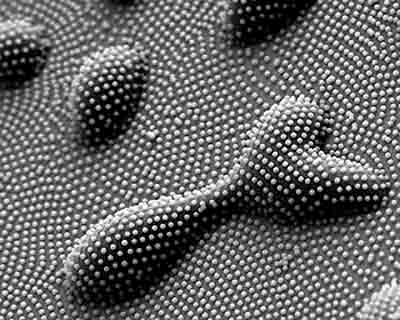 magnified view of nanoparticle arrays on a topographically uneven surface.