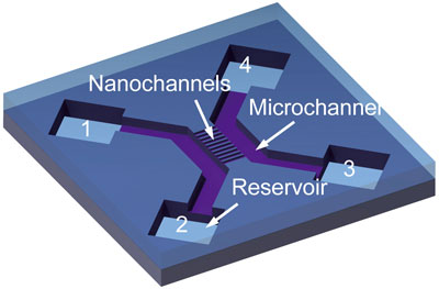 Schematic of a 2-nm nanochannel device, with two microchannels, ten nanochannels and four reservoirs