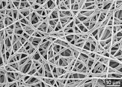 Scanning electron microscopy image of a porous copolymer scaffold