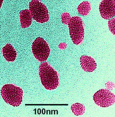 Transmission electron microscopy image of an ultrabright fluorescent mesoporous silica nanoparticle