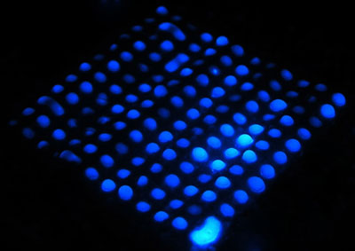 paper strips containing arrays of dots dipped in luminol, a chemical that turns fluorescent blue when exposed to blood