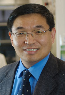 Professor G. Q. Max Lu