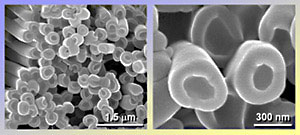 Scanning electron microscope images of the artificial hemoprotein nanotubes
