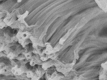 A scanning electron microscope image shows a bundle of 'microworms' produced using a vapor-deposition process