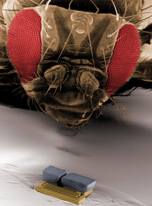 Mit dem nur einen Drittel Millimeter grossen Roboter im Vordergrund könnte man vielleicht sogar eine Fliege operieren