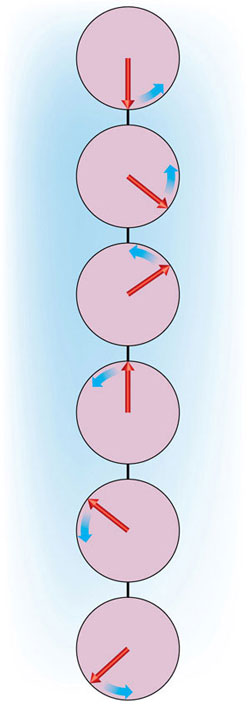 A one-dimensional chain of spins (red arrows), showing a chiral ordering (or spiral), which rotate (blue arrows) in response to incoming light radiatio