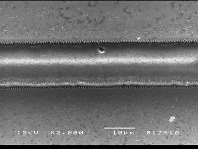 Electron Microscopy Picture of a Micro Resonator