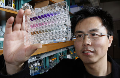 W. Andy Tao uses nanopolymers and chemical reactions that cause color changes in a solution to detect activity related to cancer cell formation