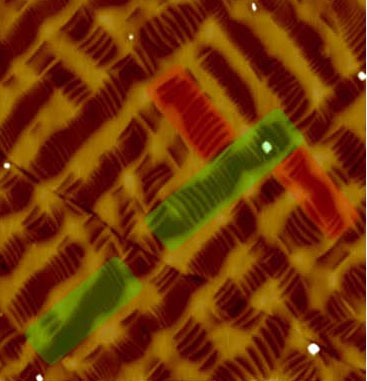 In this atomic force microscopy topography image of a special mixed phase bismuth ferrite sample, red and green shaded areas indicate two sets of mixed phase regions oriented at 90 degrees to each other