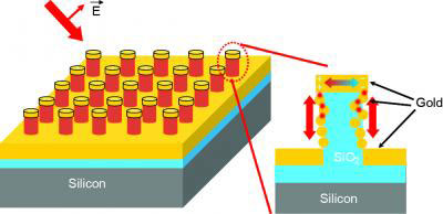 Schematic of Raman-Sensor Chip