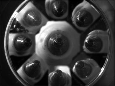 3-D microscope lens