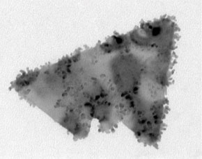Single gold nanoparticle crystals formed using radiolysis