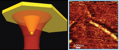 Schematic of coaxial probe for imaging a carbon nanotube (left) and chemical map of carbon nanotube with chemical and topographical information at each pixel (right)