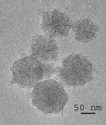 Carbon nanohorns