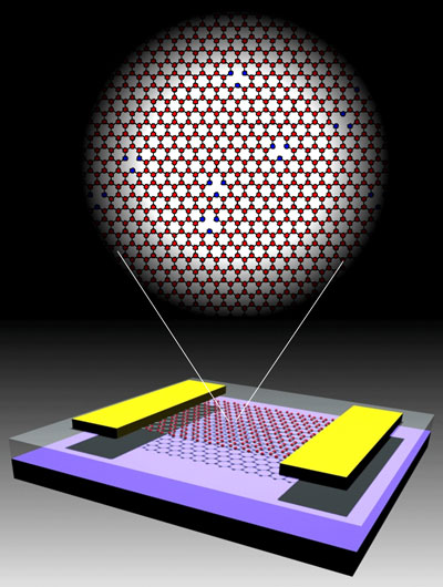 Schematic of a graphene transistor showing graphene (red), gold electrodes (yellow), silicon dioxide (clear) and silicon substrate (black)