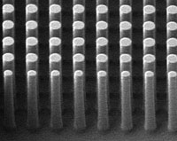 Silicon nanopillars