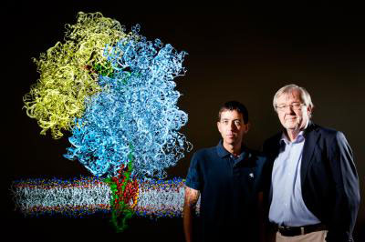 University of Illinois biophysics professor Klaus Schulten (right) and postdoctoral researcher James Gumbart
