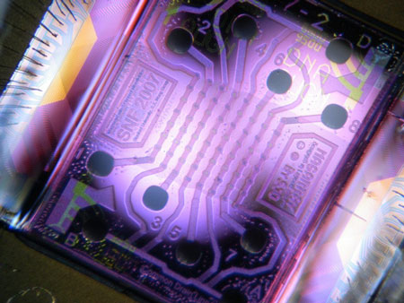 A microchip with an array of 64 nanosensors