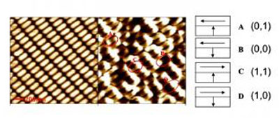 Microscopy Images of 2-bit-per-dot Patterned Media